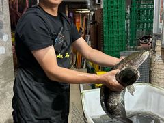 -大鼎石锅鱼(春江里店)