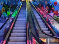 -成都浩海立方海洋公园