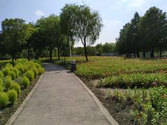 -闵行文化公园-停车场