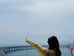 -星海湾跨海大桥