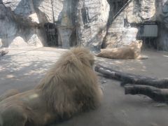 -南昌动物园