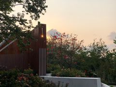 -深圳仙湖植物园