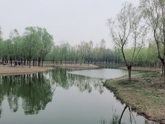 -东郊湿地公园
