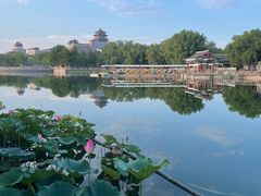 -莲花池公园