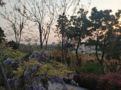 -浮山香苑