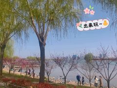 -北龙湖湿地公园