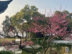 -杭州西湖柳莺里酒店