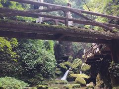 -青城山