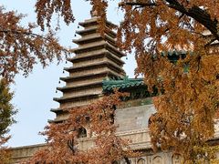 -北京石刻艺术博物馆(五塔寺)