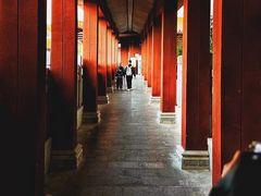-深圳仙湖植物园