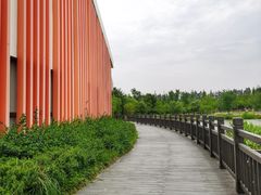 -上海长兴岛郊野公园