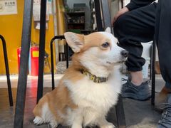 -小梁哥云吞面(黄贝岭店)