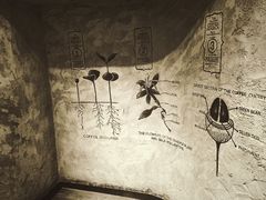 -星巴克臻选(湖滨道店)