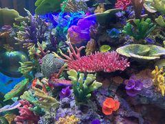 -成都浩海立方海洋公园