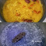 果茶厨房 | 电饭煲就能煮出软糯可口的小米金汤辽参