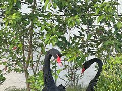 -行者书屋大堂吧 ·下午茶(南京圣和府邸酒店)