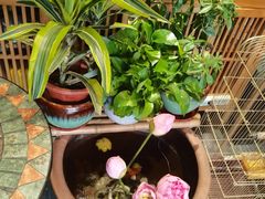 -观盐·盐帮菜(官园桥店)