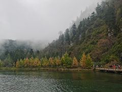 -好吃鬼高原牦牛杂火锅(古尔沟分店)