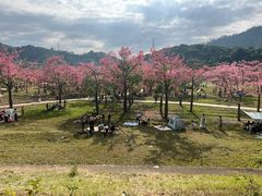 -风云岭森林公园
