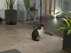 -UNI UNI(环亚凯瑟琳店)