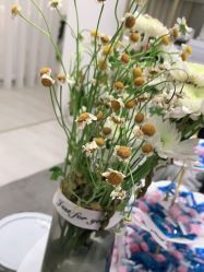 点击看大图 -skin79皮肤管理中心