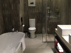 -常州环球恐龙城维景国际大酒店