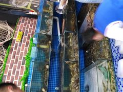 -蟹谢蒸鲜自助餐厅