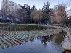 -木塔寺遗址生态公园