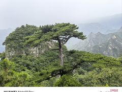 -圣莲山风景区