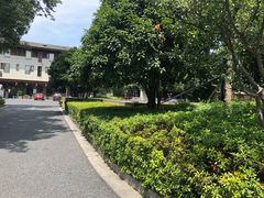 -西溪天堂商业街-停车场