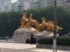 -骏景花园