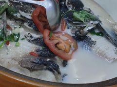 -全乐鱼馆·淳牌有机鱼直营店