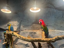 -Zoolung Zoolung动物主题公园(海信广场店)