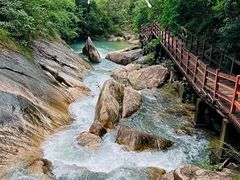 -广州白江湖森林公园