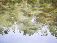 -趵突泉景区