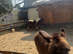 -HERRE·FARM 赫尔露营农场·团建聚会包场