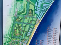-日照海滨国家森林公园