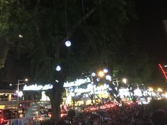 -爱雍·乌节