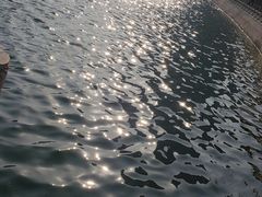 -迎泽公园
