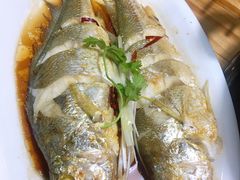油泼黄花鱼-鲜小岛·铜锅涮肉