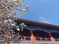 -恭王府博物馆