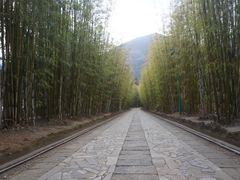 -蝴蝶泉公园