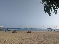 -碧海金沙