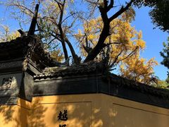 -惠山古镇·寄畅园