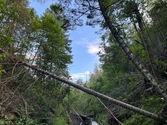 -峡谷浮石林景区