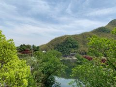 -鹿亭中村