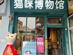 -猫咪博物馆(顶澳仔猫街店)