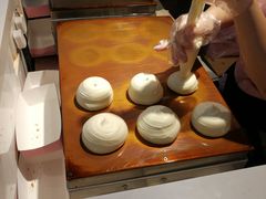 -狐狸和向日葵(北京路店)