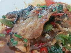 啤酒野生竹鱼-生态苑农庄(十里画廊遇龙河店)