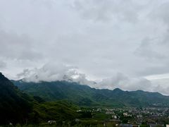 -天目山大树王景区